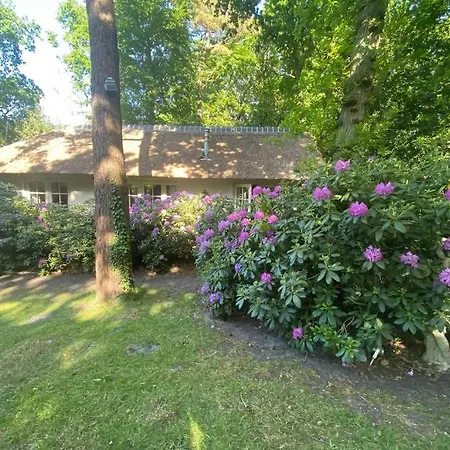 Zomerhuis , Centraal Gelegen *