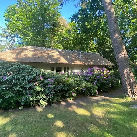 Zomerhuis , Centraal Gelegen Tatil Evi Bergen